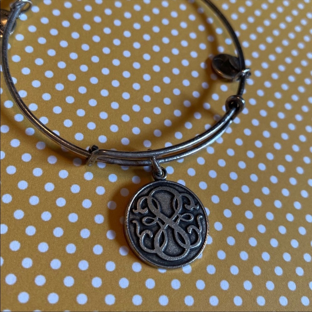 Alex and Ani Path of Life bangle in Raf. Silver - Picture 2 of 8